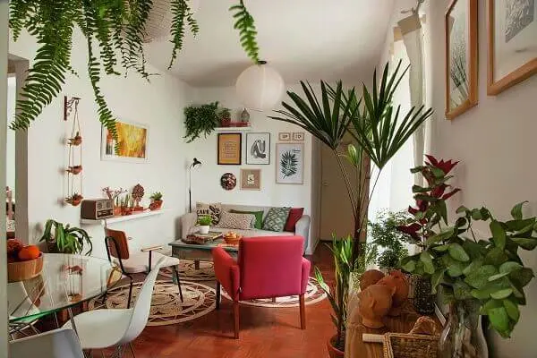 Tipos de plantas ornamentais para decorar apartamento retrô