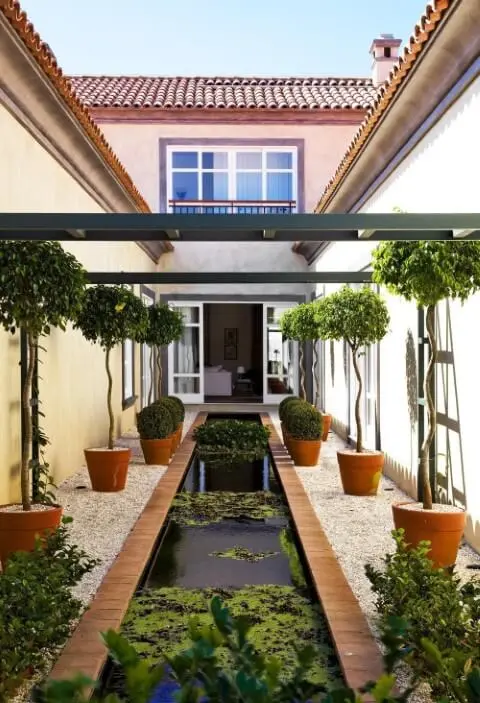 Jardim externo com plantas aquáticas em espelho d'água Projeto de Dado Castello Branco