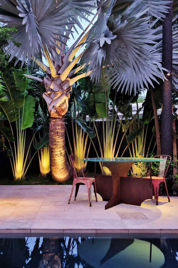 Iluminação de jardim especial deixa a Palmeira Azul ainda mais realçada no jardim