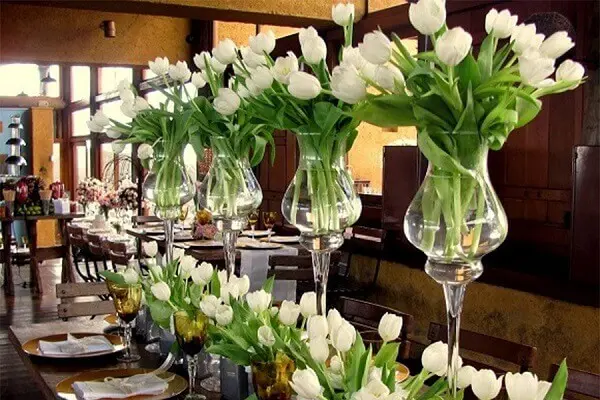 Tulipa branca para decoração de ambiente