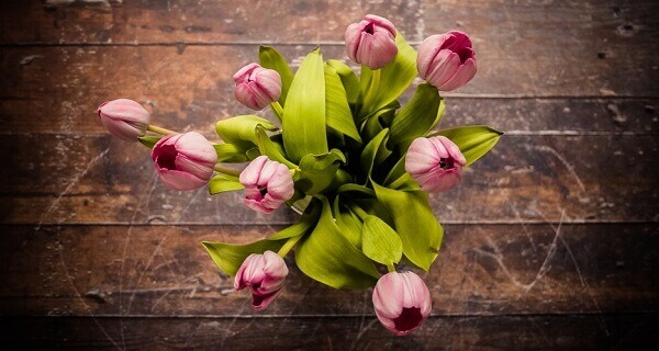 Tulipa na mesa de madeira