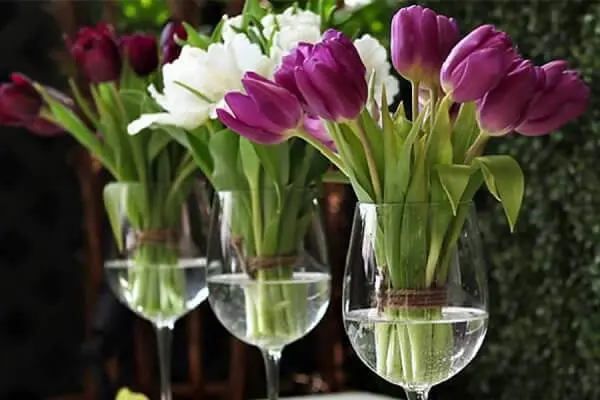 Tulipa para decoração de casamento