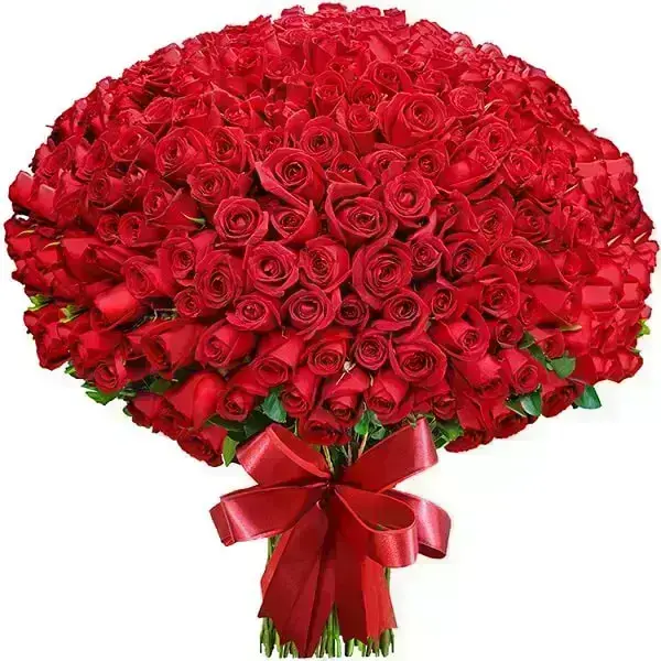Buquê de flores com 500 rosas para namorada