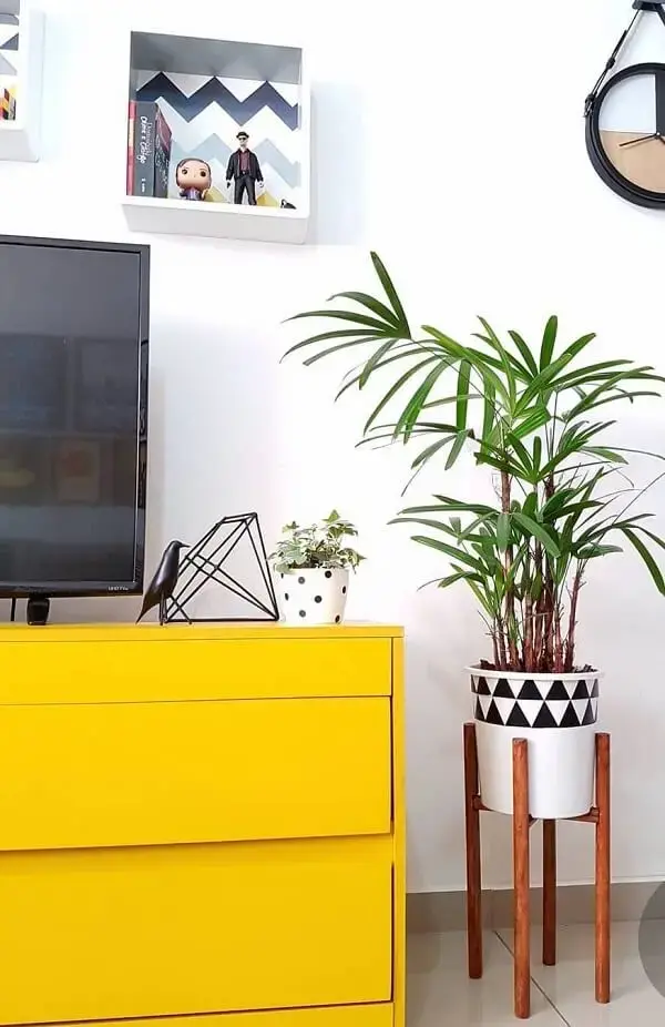 Tipos de palmeiras ráfia na decoração de sala