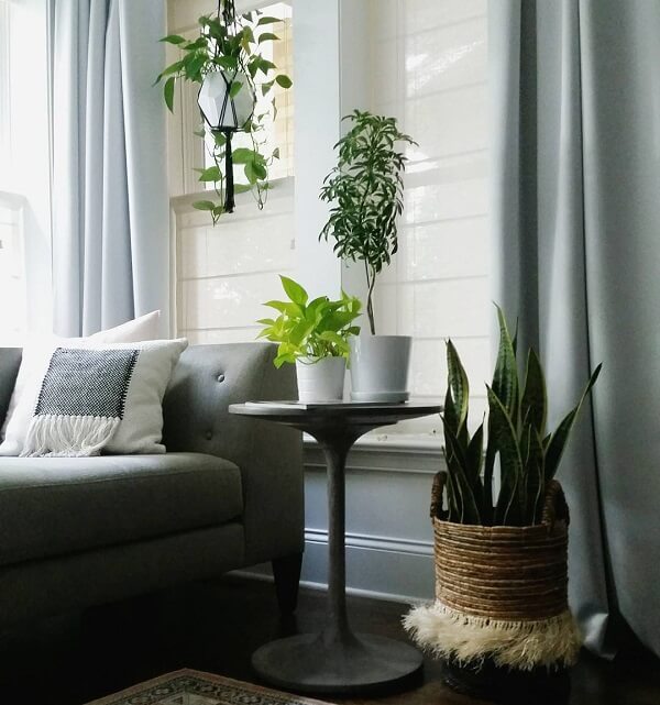 Traga um toque natural para o ambiente da sala com plantas artificiais