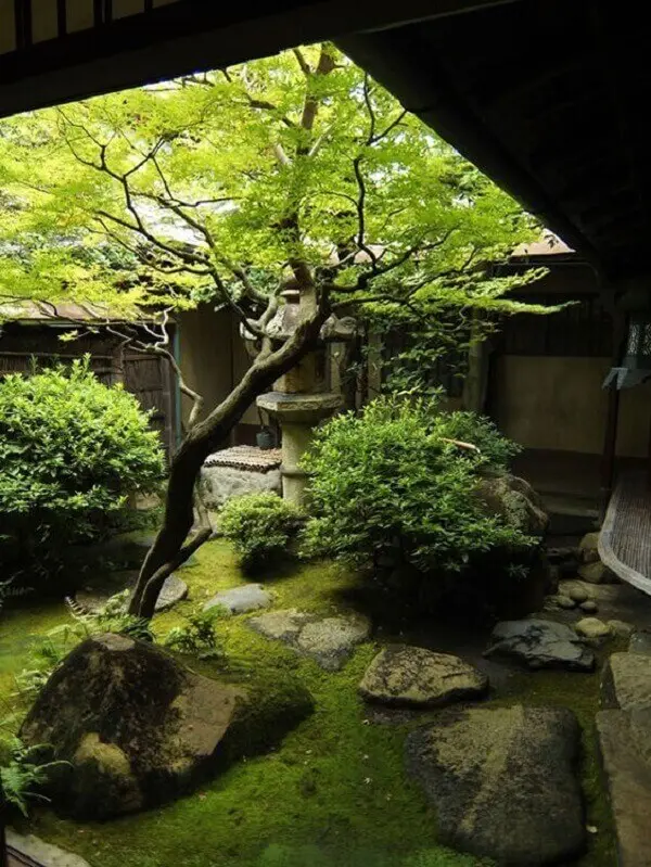 Atente-se quanto a escolha das espécies de plantas de acordo com o espaço do Jardim Japonês