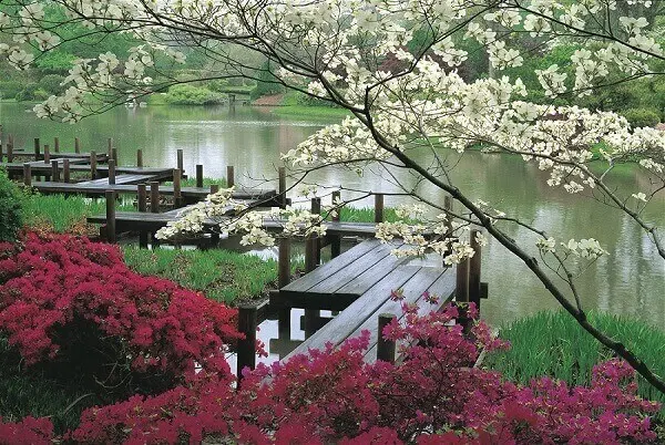Caminho estrutura com placas de madeira encantam o Jardim Japonês