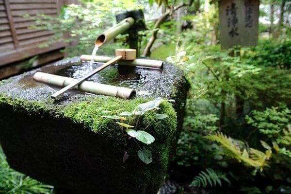 Fonte de Bambu complementa o paisagismo do Jardim Japonês