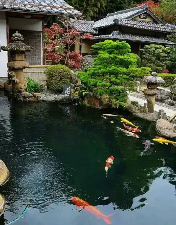 Jardim Japonês com carpas