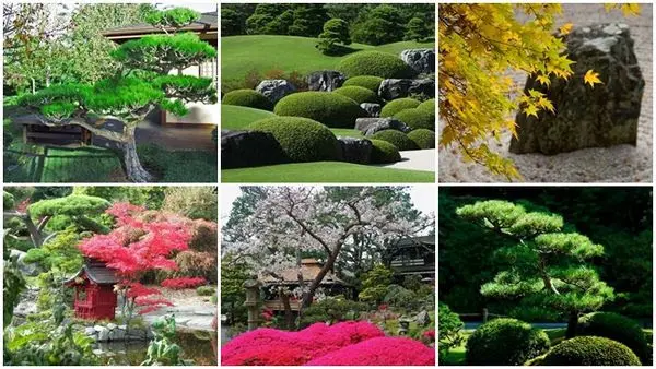 Os japoneses tem uma capacidade natural para interpretar o charme das plantas e flores
