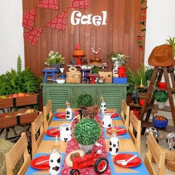 Decoration with elements of the field for party farmendinha