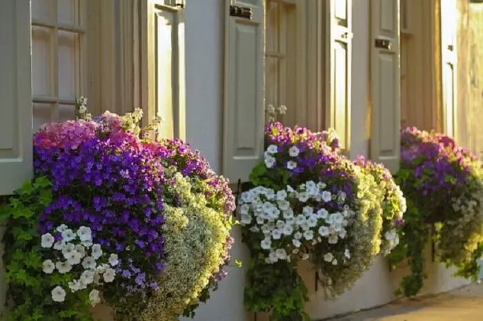 Flores de petúnia encantam a decoração de fachada desta casa