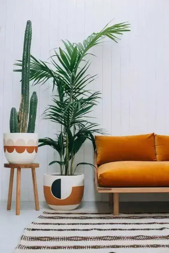 palmeira ráfia - palmeira ráfia ao lado de sofá