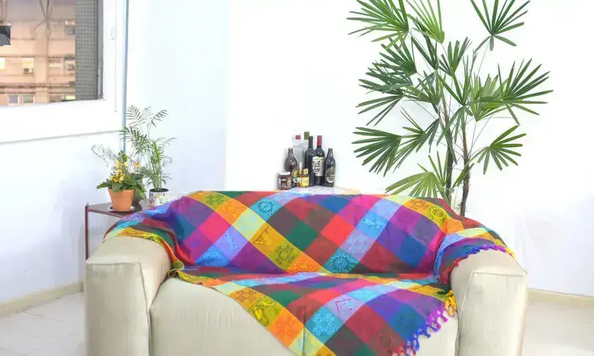 palmeira ráfia - palmeira ráfia em sala com sofá com manta colorida