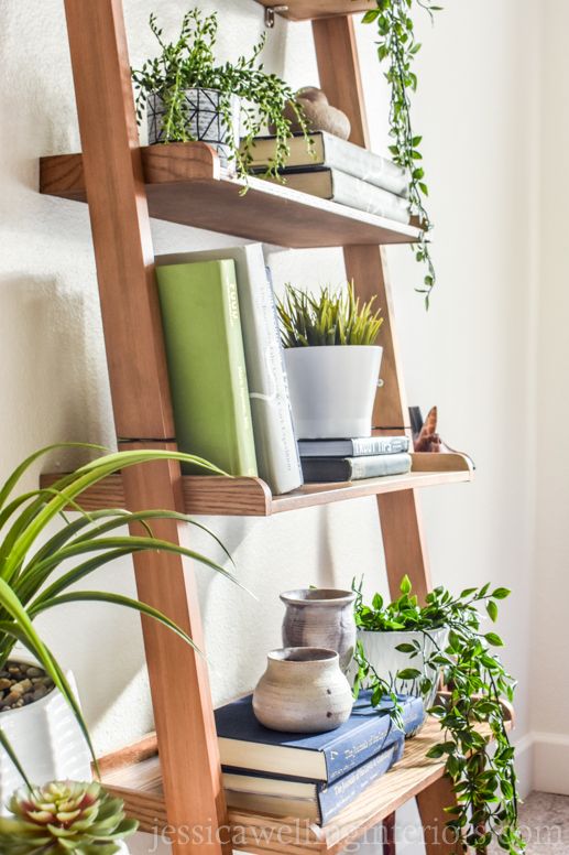 Plantas e livros na estante escada 