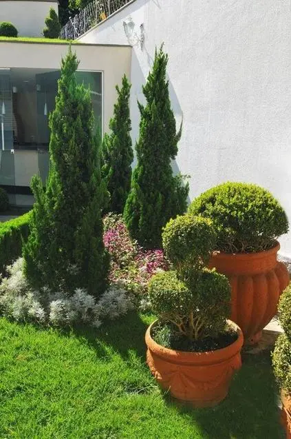 kaizuka - jardim com uma série de plantas 