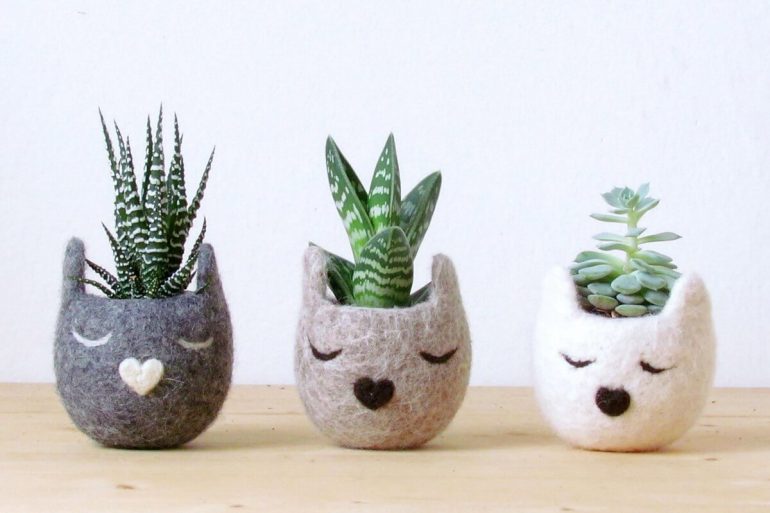 Vasos de plantas em formatos criativos