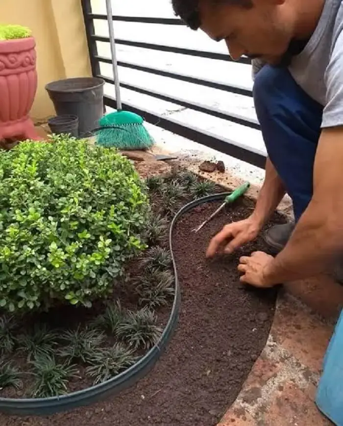 Cultivo e manutenção da grama preta