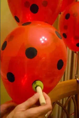 festa ladybug