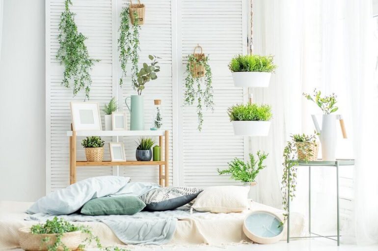 decoração clean para ambiente com vários vasos de plantas