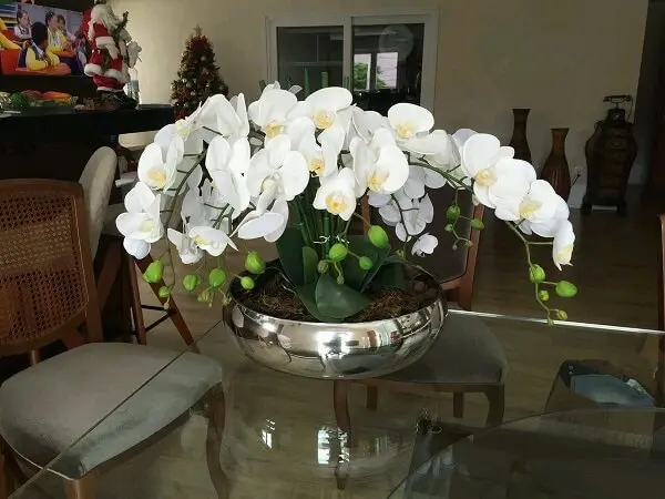 As orquídeas são plantas que purificam o ambiente