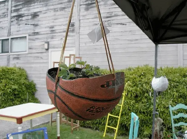 A bola de basquete foi reutilizada como vaso no jardim