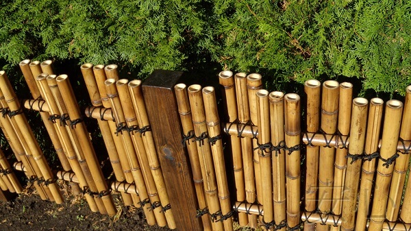 Cerca de bambu vista de cima e fixada em ambiente externo