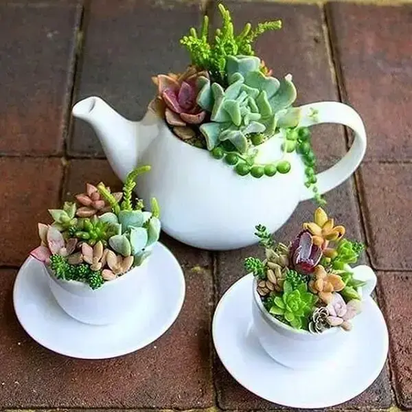 Conjunto de bule e xícaras formam um lindo jardim de suculentas