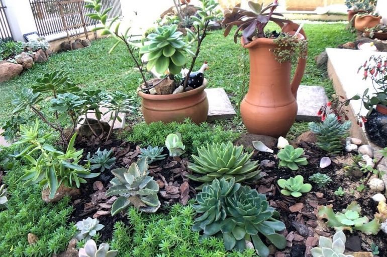 Dicas de como fazer jardim de suculentas. Fonte: Pinterest
