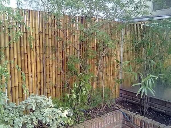Área externa delimitada com cerca de bambu