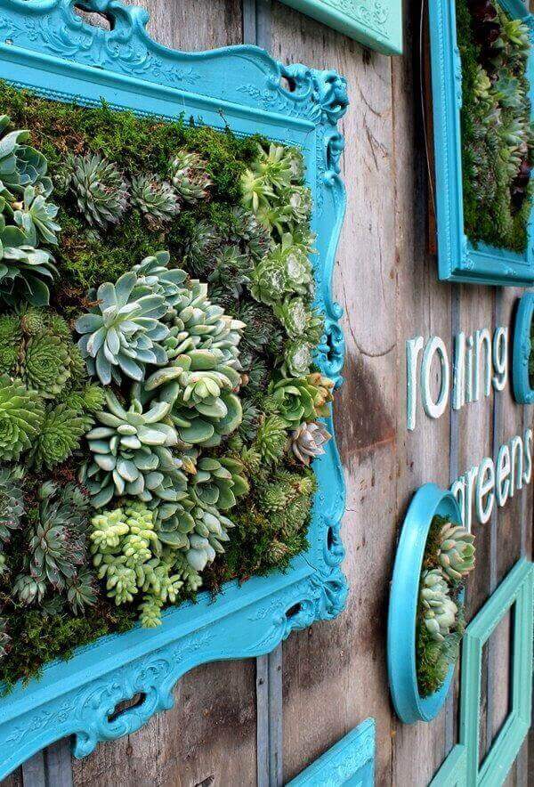 O jardim de suculentas foi fixado em uma moldura com tom azul tiffany