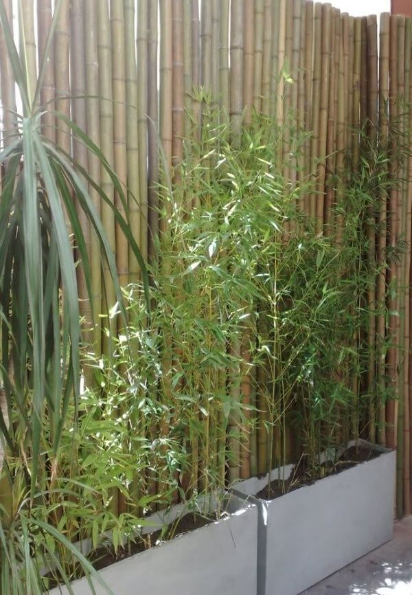 Modelo de cerca de bambu fixada atrás dos vasos de concreto