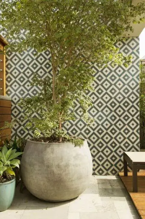 cerâmica para parede - varanda com azulejo geométrico na parede de vaso 