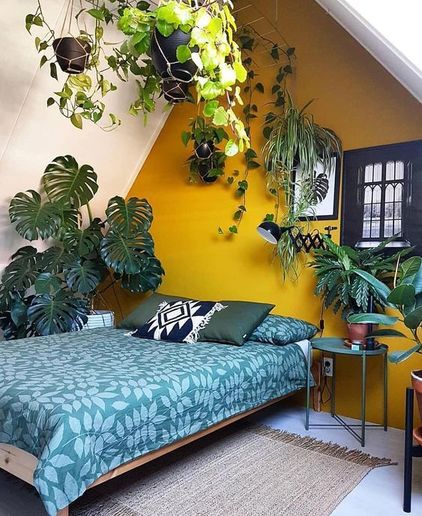 cor amarela - quarto com plantas e parede amarela 