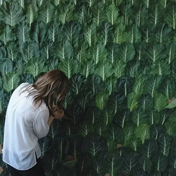 muro inglês - parede de couve 