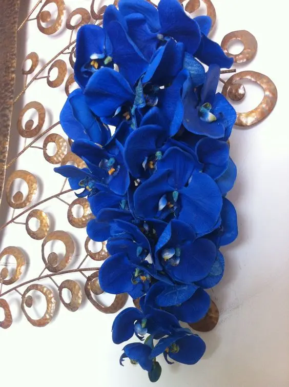 orquídea azul - buquê de orquídea azul 