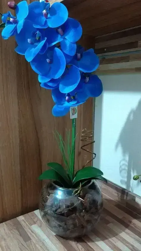 orquídea azul - orquídea azul de silicone em vaso de vidro 