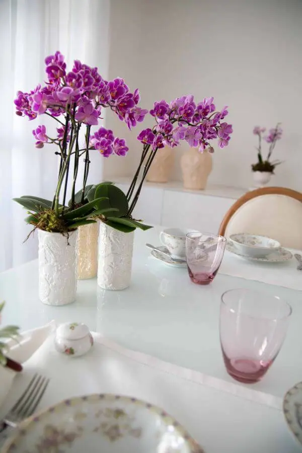 Mini orquídea lilás linda na mesa de jantar