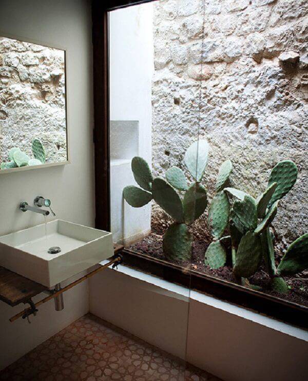 Aproveite o espaço do banheiro e forme um lindo jardim de inverno com diferentes tipos de cactos