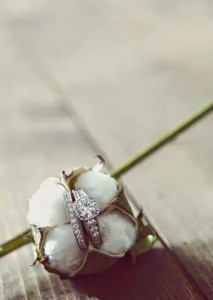 bodas de algodão - flor de algodão com aliança 