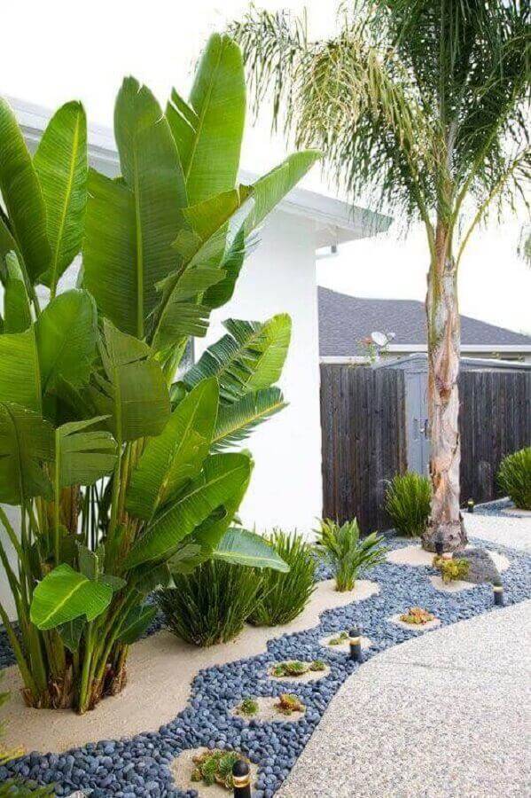 plantas grandes para jardim residencial com caminho de pedras Foto Backyard Mastery