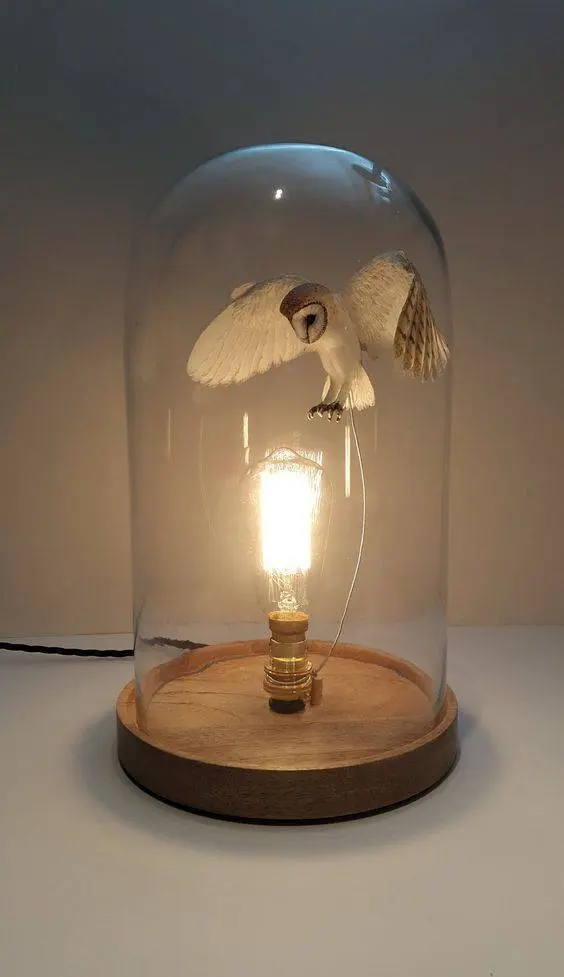 redoma - redoma com coruja e lâmpada 