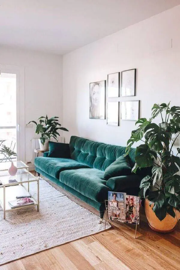 sala simples decorada com sofá verde e vasos de plantas Foto Ten is Extreme Shop