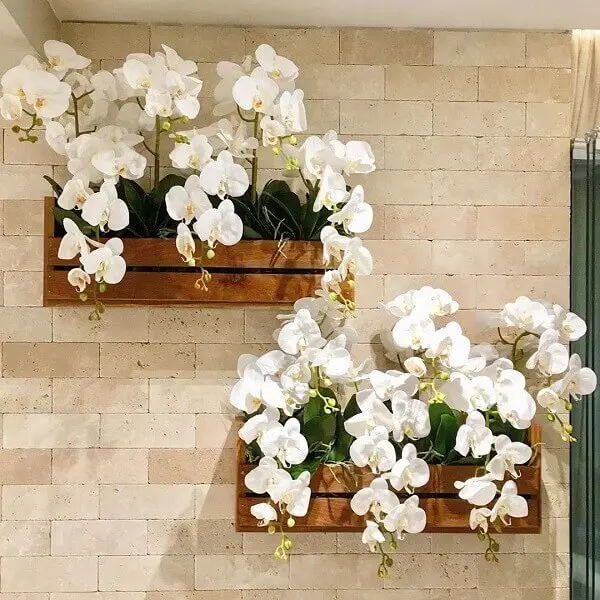 Cultive lindas orquídeas na sua floreira de madeira de parede. Fonte: Rosário Patrick