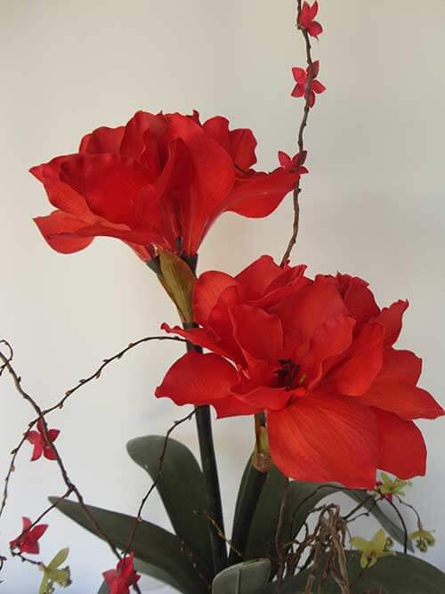 Flores vermelhas 