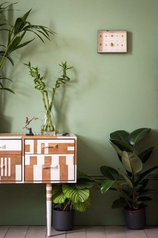 A parede verde se mistura com a folhagem das plantas - Fonte: Pinterest