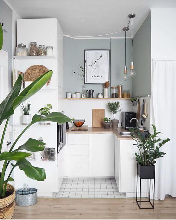 Que tal decorar a cozinha pequena com plantas