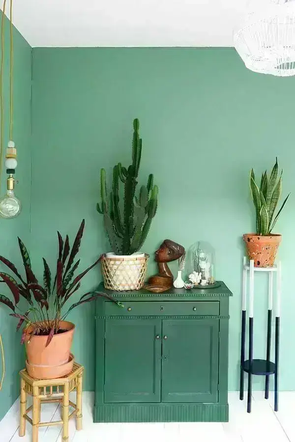 decoração com parede verde e vasos de suculentas Foto Só Decor