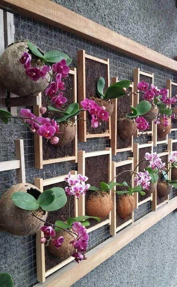 Floreira com orquídeas na parede