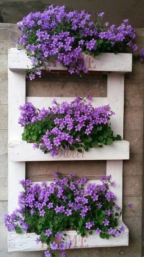 Floreira para violetas